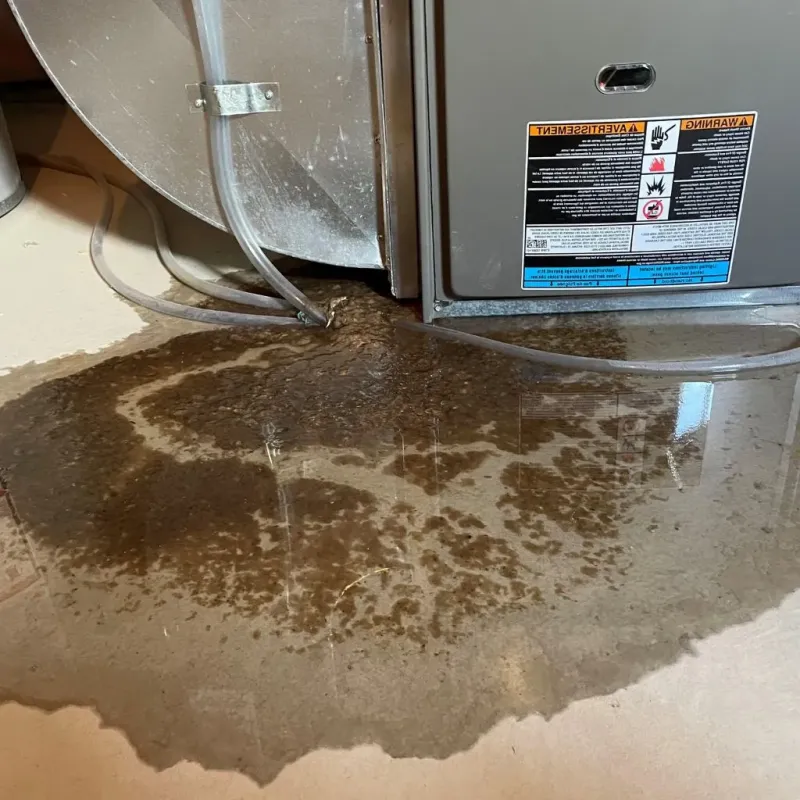 Pipe Burst and Leak Restoration in Washington County, MD